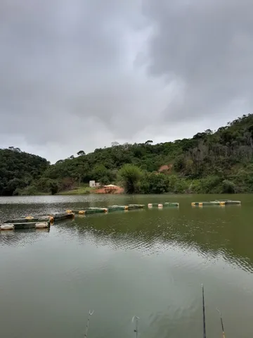 Vendo tanques rede