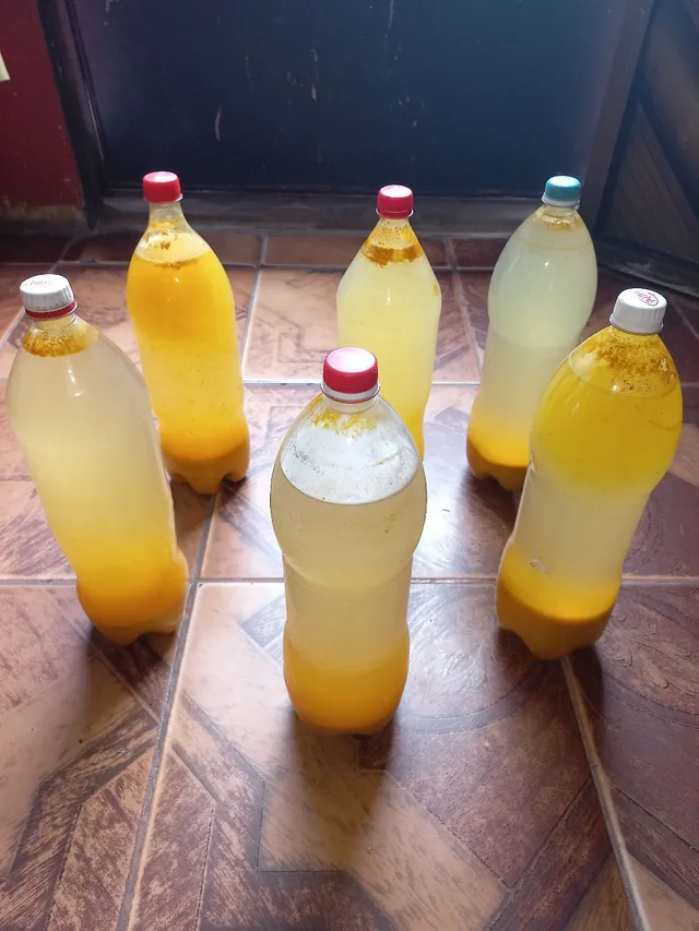 Tucupi Puro Original 