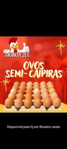 OVOS SEMI-CAPIRA