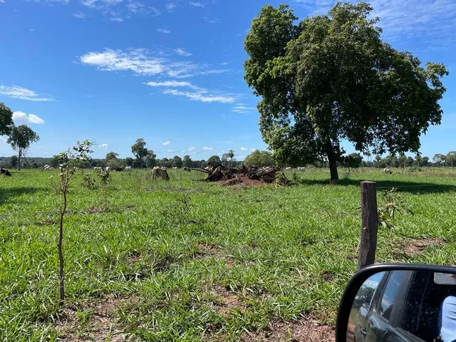 Vendo Empresa Agropecuária Ltda - Garantia