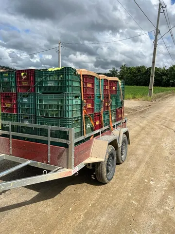 2023 carretinhas trucadas, fazendinhas