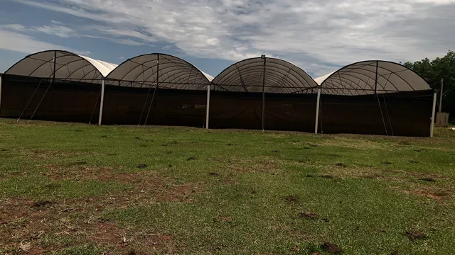 Estufa com estrutura em aço galvanizado ( C 90 X H 32 X L 4,50 m )