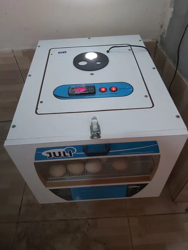 Vendo uma chocadeira 70 só usei 2 vezes