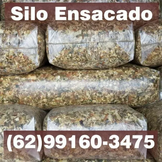 Silo ensacado a pronta entrega
