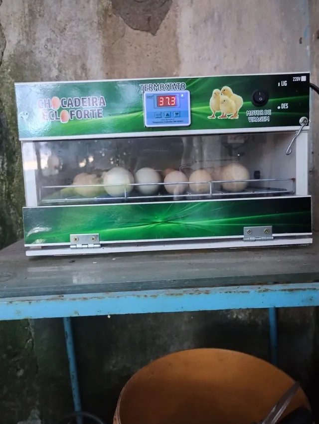 Vendo chocadeira nova com ovoscopia 