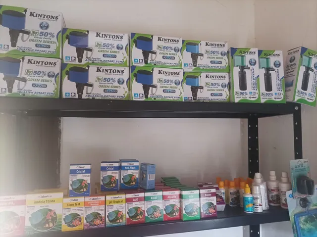 Aquário, Peixes & plantas 