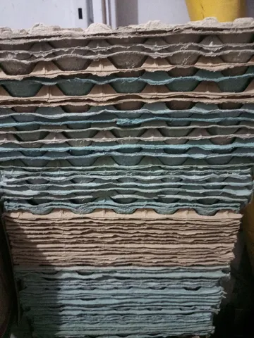 Cartela de ovos 