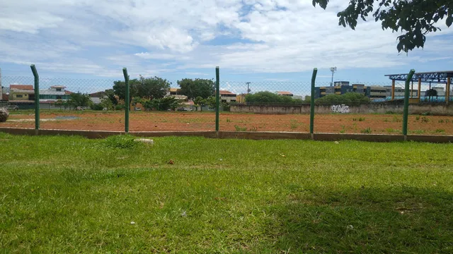 Cerca arame liso tela estaca eucalipto concreto 