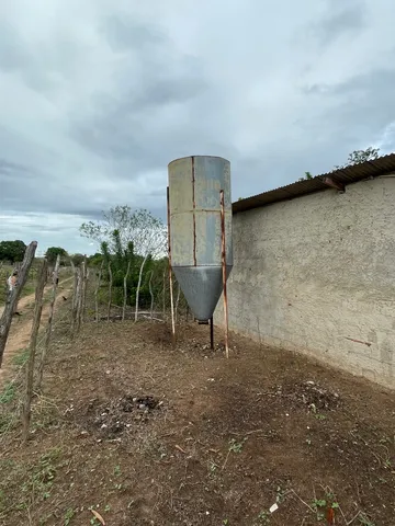 Silo de milho 