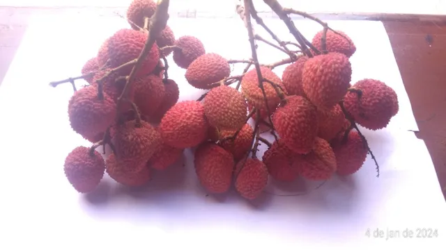 Lichia frutas