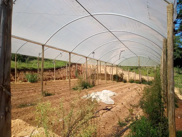 Estufa Agrícola 