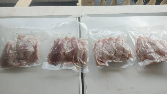 Filé de tilapia 1kg