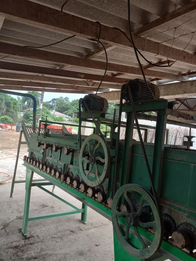 Máquina lavar cenoura 