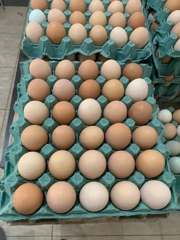 Ovos caipira no tacado e a varejo 