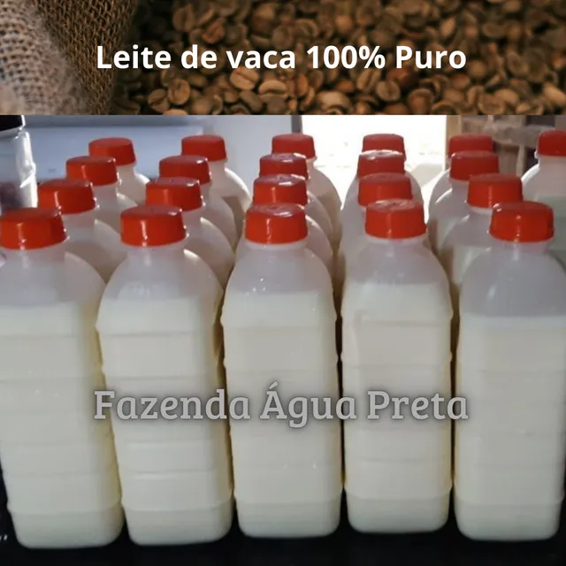 Leite de vaca