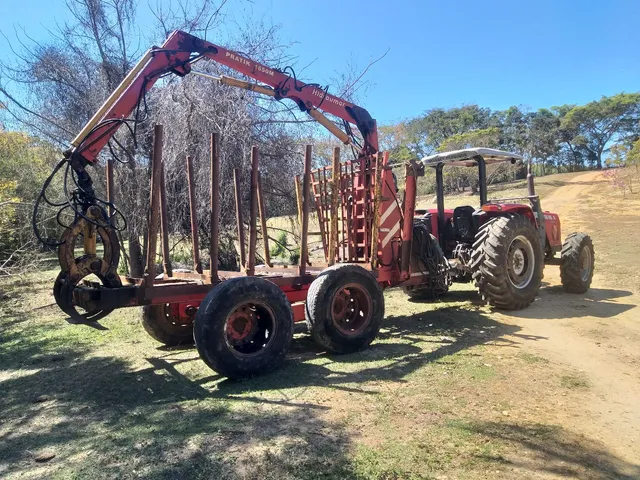 Grua florestal autocaregavel 85mil 