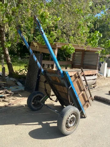 Vendo jumenta com carroça 
