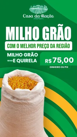 Milho grão e Quirela