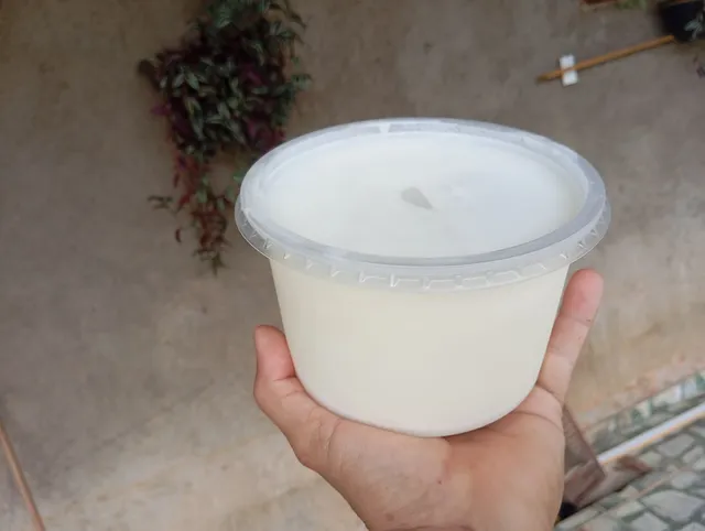 Banha de porco 