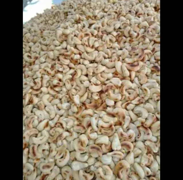 Castanha de caju