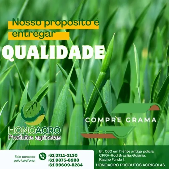 grama esmeralda, são carlos, batatais e bermudas