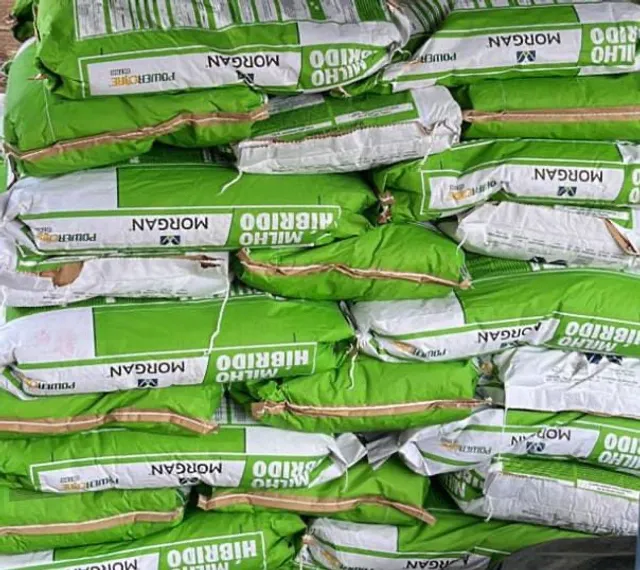Sementes qualificadas de soja, milho e feijão 