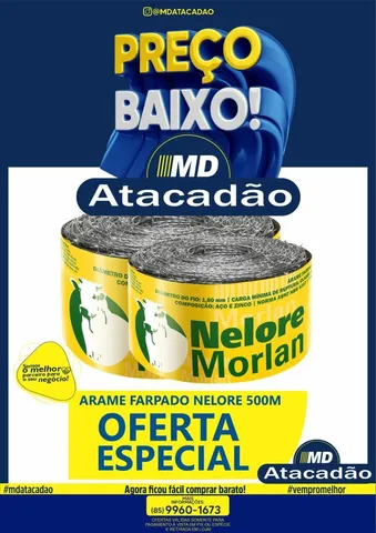 Arame farpado 500M Nelore 
