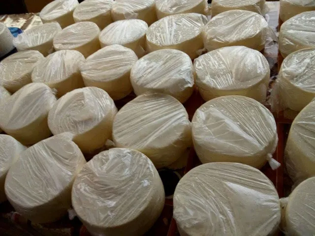 Queijo
