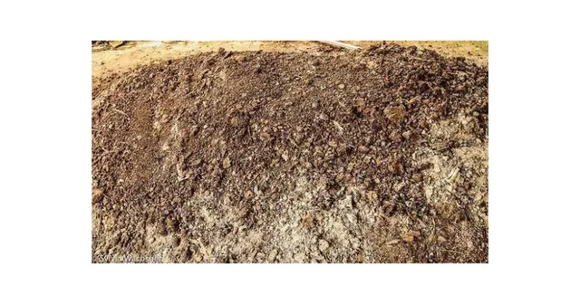Vendo composto orgânico, húmus de minhoca e xixi de minhoca