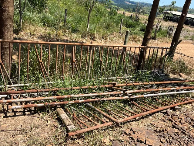 Venda de canzil 