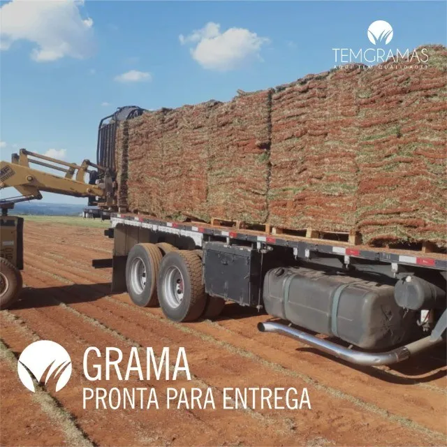 Grama Para Jardim 