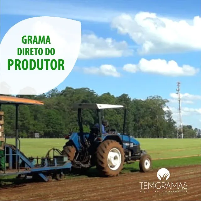 Grama Para sua Obra