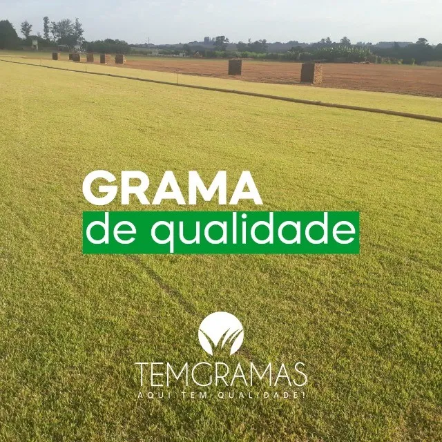Grama São Carlos Batatais Esmeralda