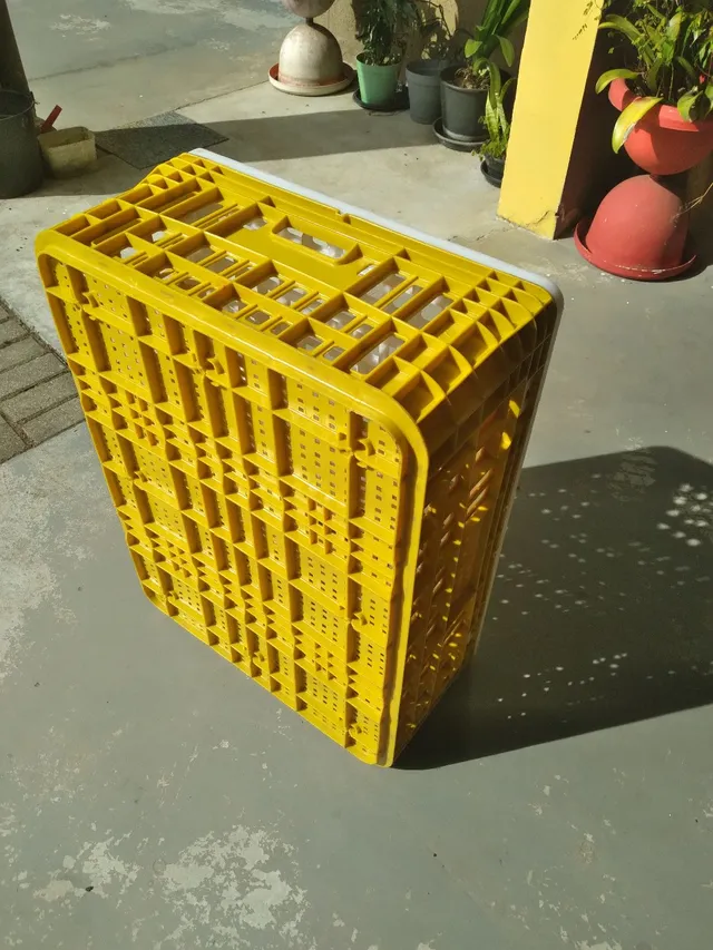 Caixa para transporte de aves