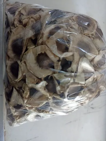 Sementes de Moringa