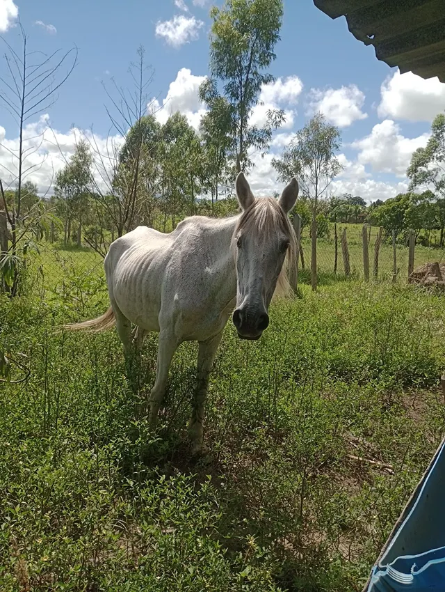 Venda ou troca