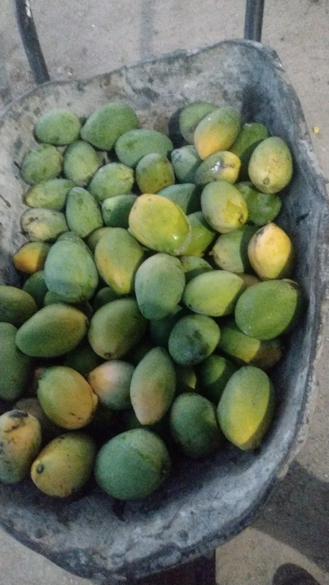 Frutas