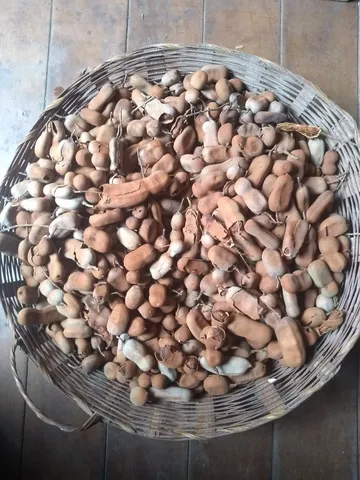 Vendo lote de tamarindo 