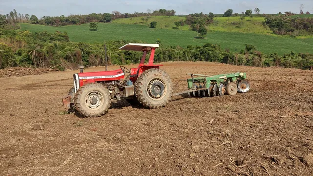 Massey Ferguson 292