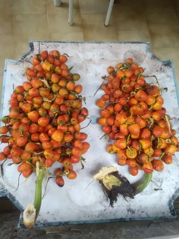 pupunha