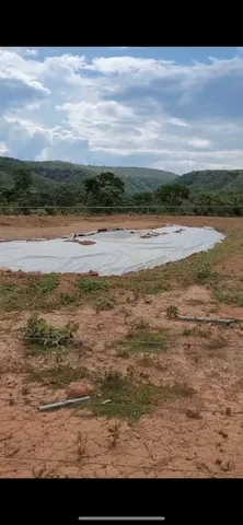 Silagem de milho