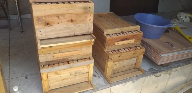 Caixa abelhas ninho melgueira com quadros aramados 160.00 zap *