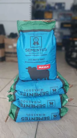 Sementes de capim Massai 10kg Mirassol - Safra nova