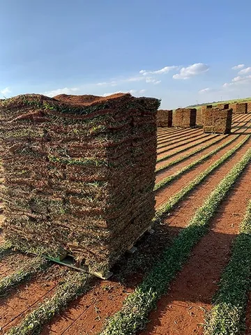 Gramas Esmeralda e São Carlos