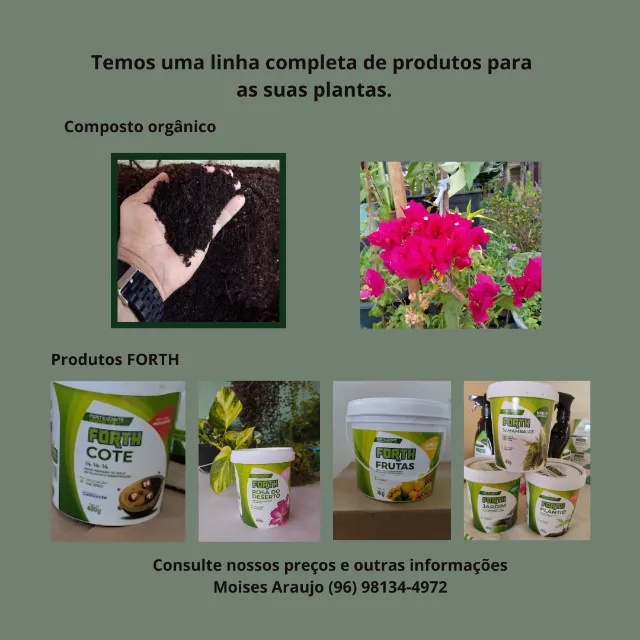 Composto orgânico