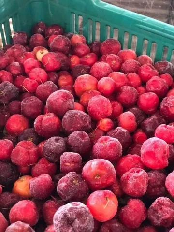 Acerola Congelada 1kg por R$ 10, Selecionada, Natural, Saúde