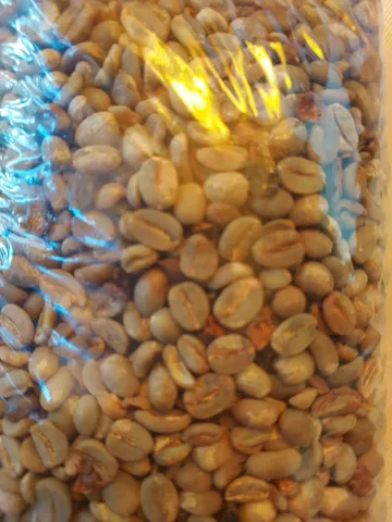 CAFÉ EM GRÃO CRU