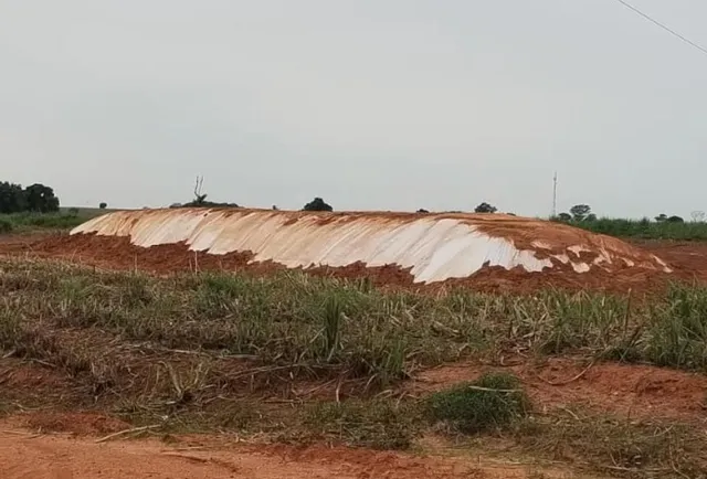 Silo de capiacu 