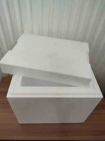 Caixa Térmica de Isopor Parede Dupla 12L
