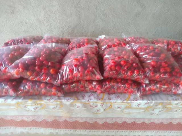 Acerola conjelada no quilo 